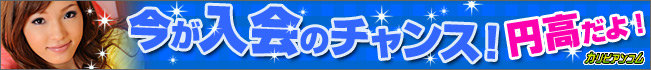 円高だよ!今がチャンス!