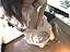 Maria Ogura