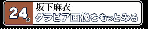 �䲼���μ̿��򸫤˹Ԥ�