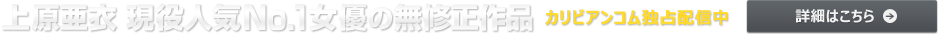 �帶���� ��Ǯ��Φ